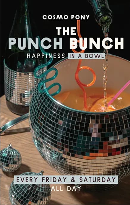 The Punch Bunch